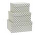 Quadrilobo Nesting Boxes (Set of 3)