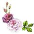 Floral
